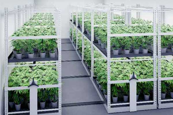 Vertical Farming Storage, Industries, O'Brien Systems