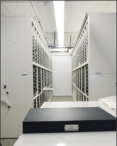 Solanderbox for museum storage by O'Brien System